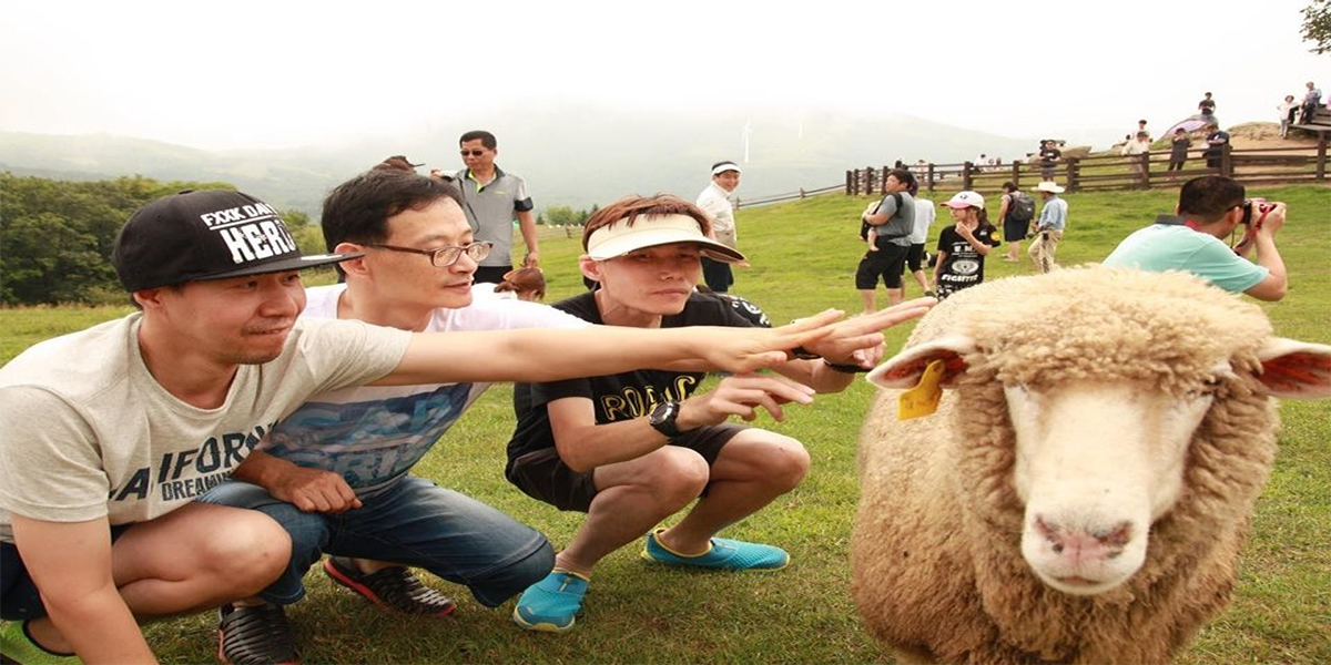 아름다운 동행|SEJONGVILL